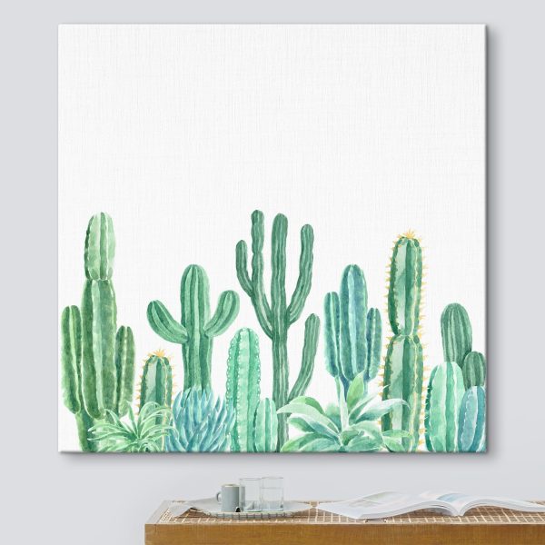 Quadri Quadri Gruppo di cactus e piante grasse (COD: s36252)