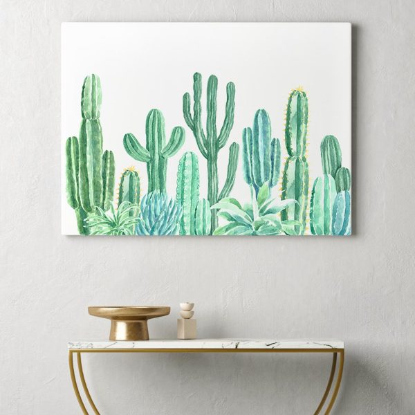 Group of cactuses and succulents Group of cactuses and succulents