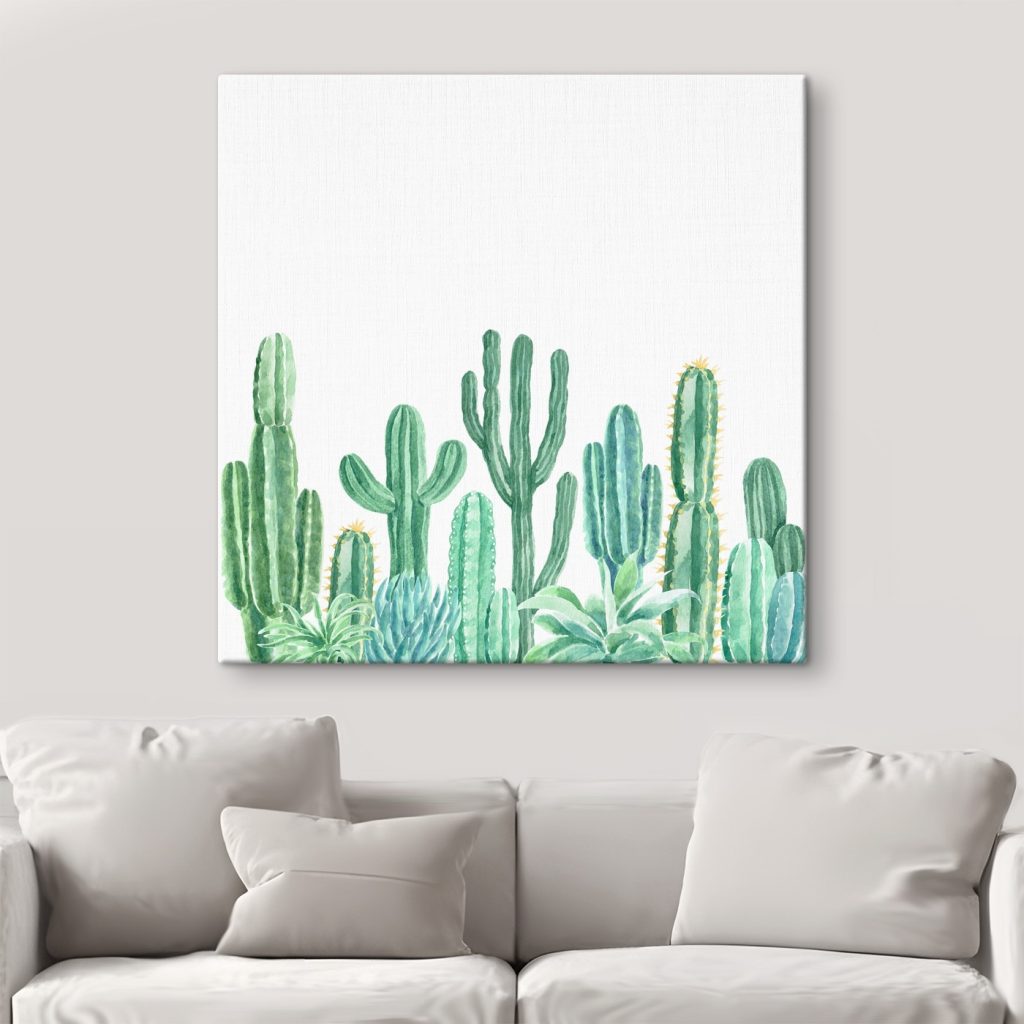 Group of cactuses and succulents Group of cactuses and succulents