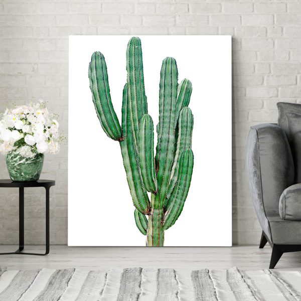 Cactus with long thin green stems