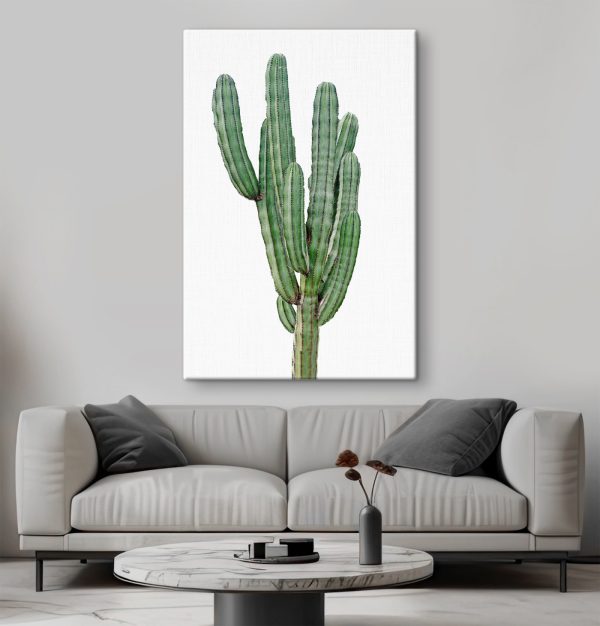 Cactus with long thin green stems