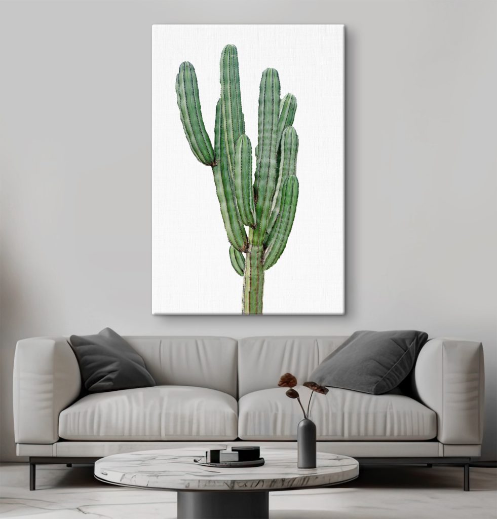 Cactus with long thin green stems