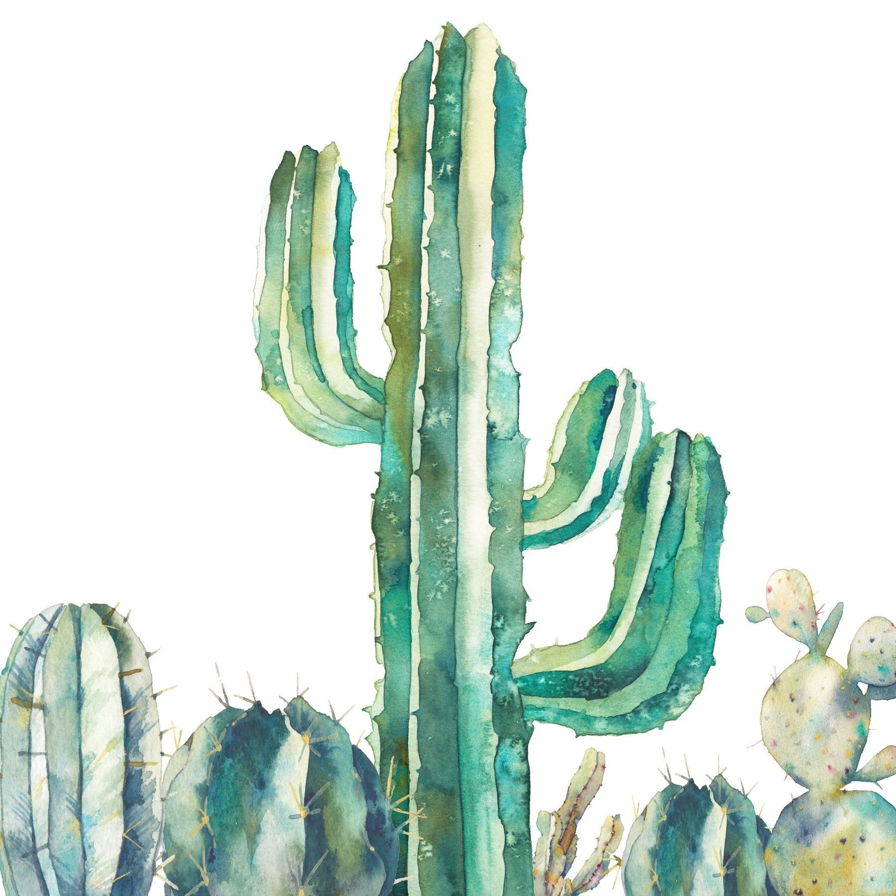Watercolor of a cactus