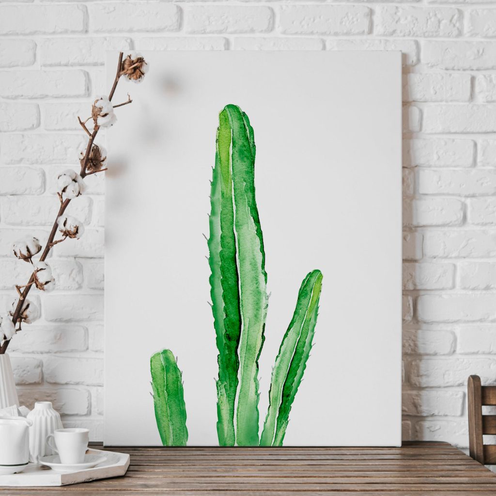 Green cactus with long stems