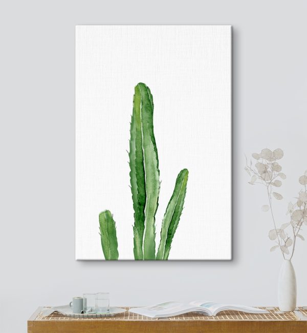 Green cactus with long stems