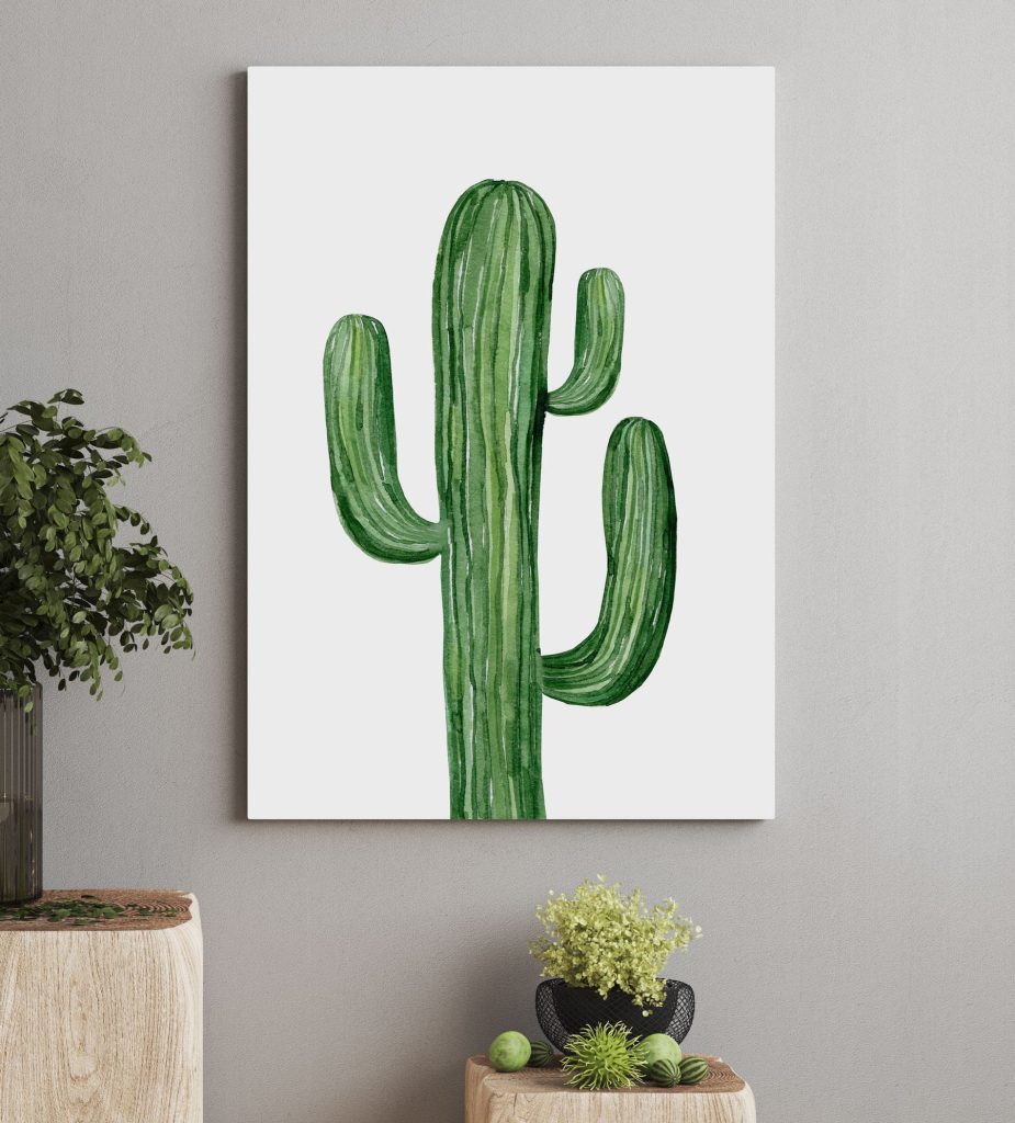Green cactus on a white background