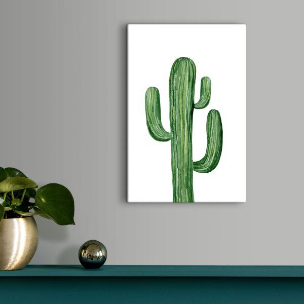 Green cactus on a white background