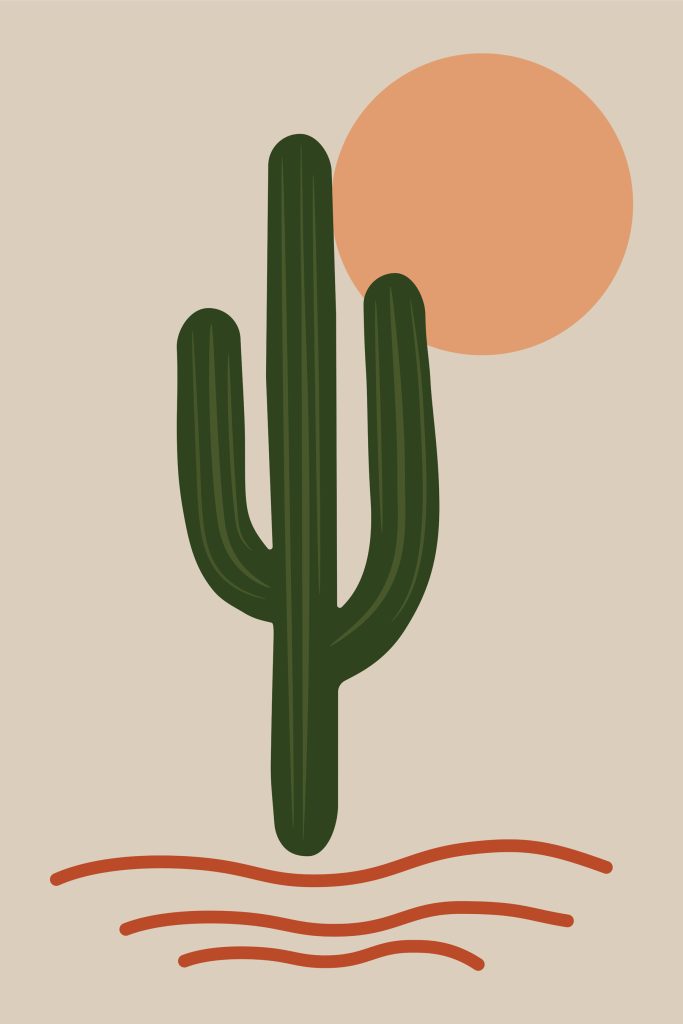 Cactus with a sun behind it