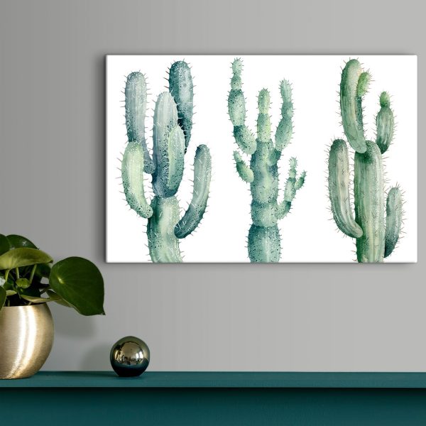Group of cactuses on a white background Group of cactuses on a white background