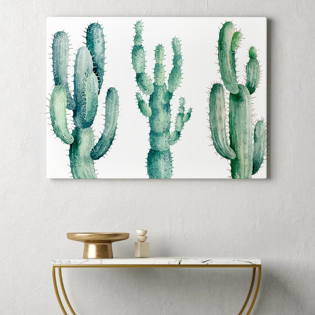 Group of cactuses on a white background Group of cactuses on a white background