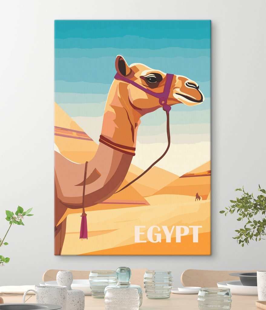Camel with a halter