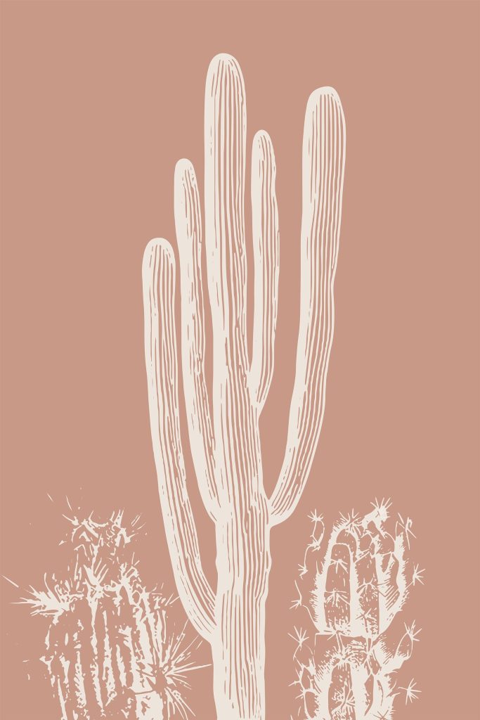 Cactus with white lines Cactus with white lines