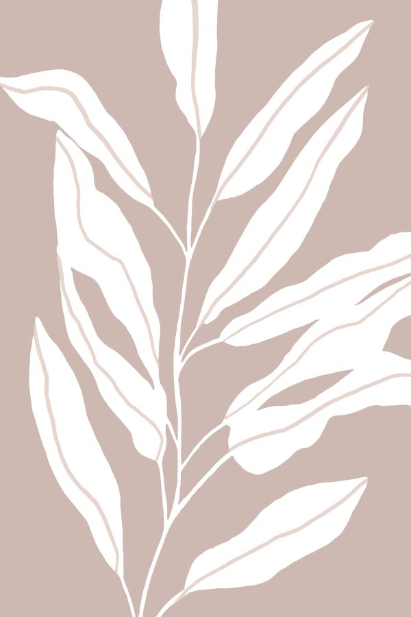 White leaves on a brown background White leaves on a brown background