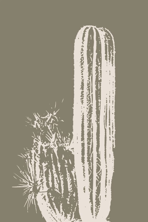 White cactus with a brown background White cactus with a brown background