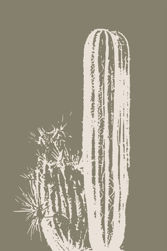 White cactus with a brown background White cactus with a brown background