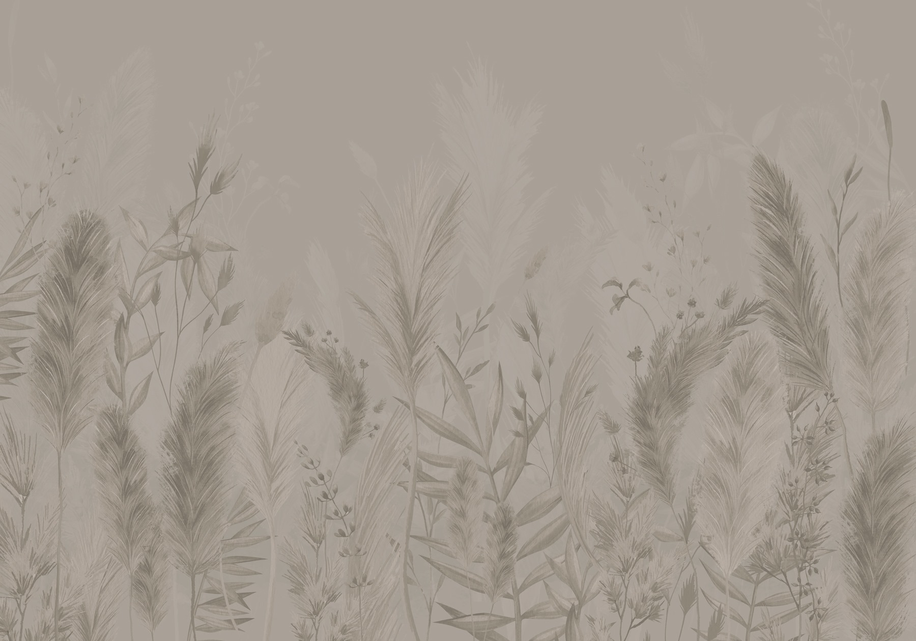 Soft textures of nature's beauty