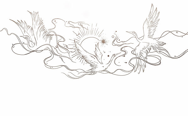 Disegno di uccelli e sole Disegno di uccelli e sole