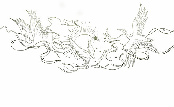 Disegno di uccelli e sole Disegno di uccelli e sole