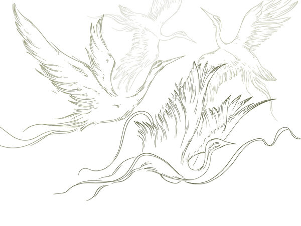 Disegno di uccelli in volo Disegno di uccelli in volo