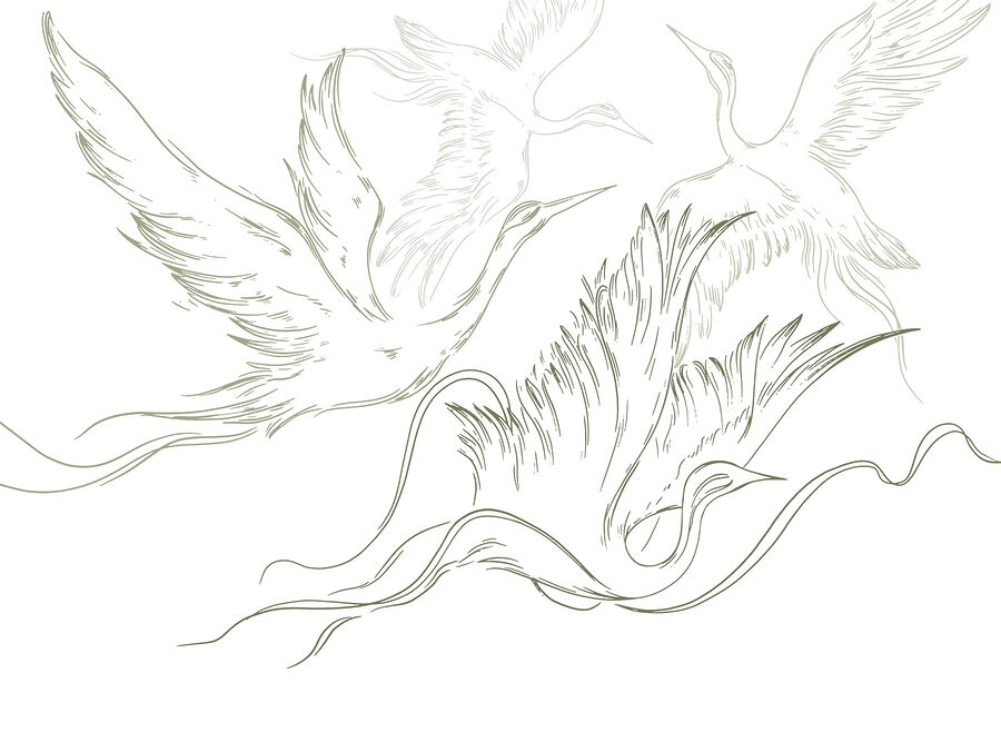 Disegno di uccelli in volo Disegno di uccelli in volo