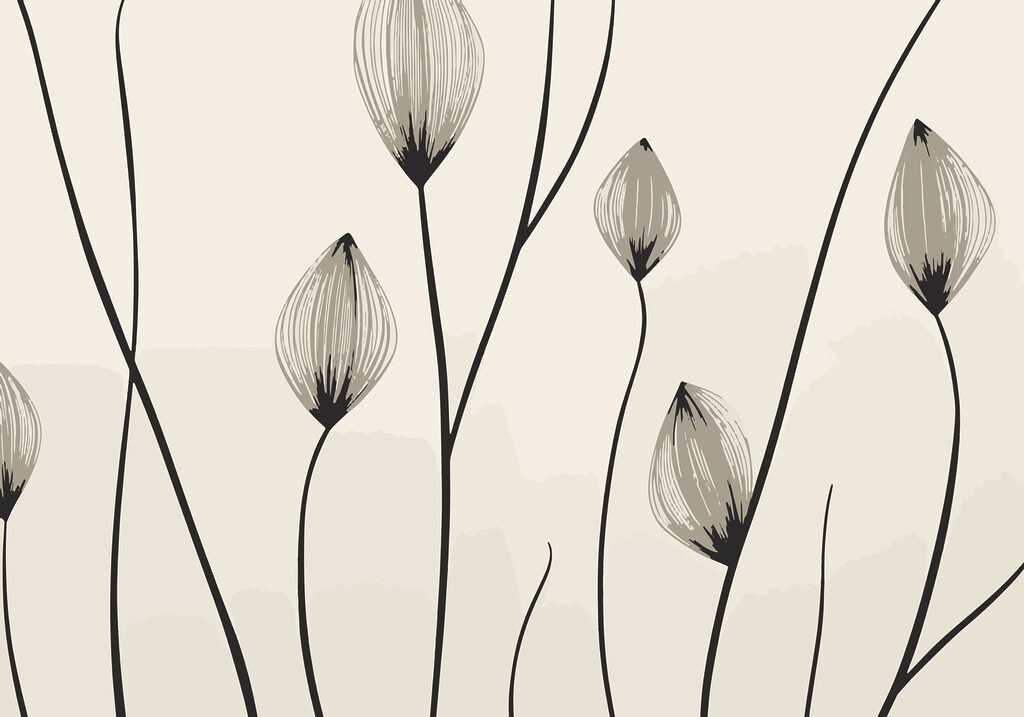 – Linee eleganti di fiori delicati – Linee eleganti di fiori delicati