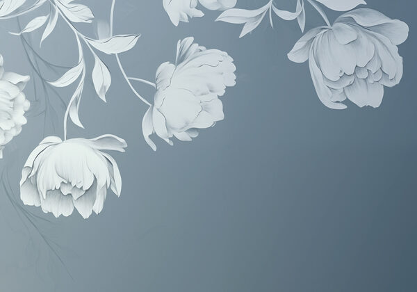 Fiori bianchi su sfondo grigio Fiori bianchi su sfondo grigio