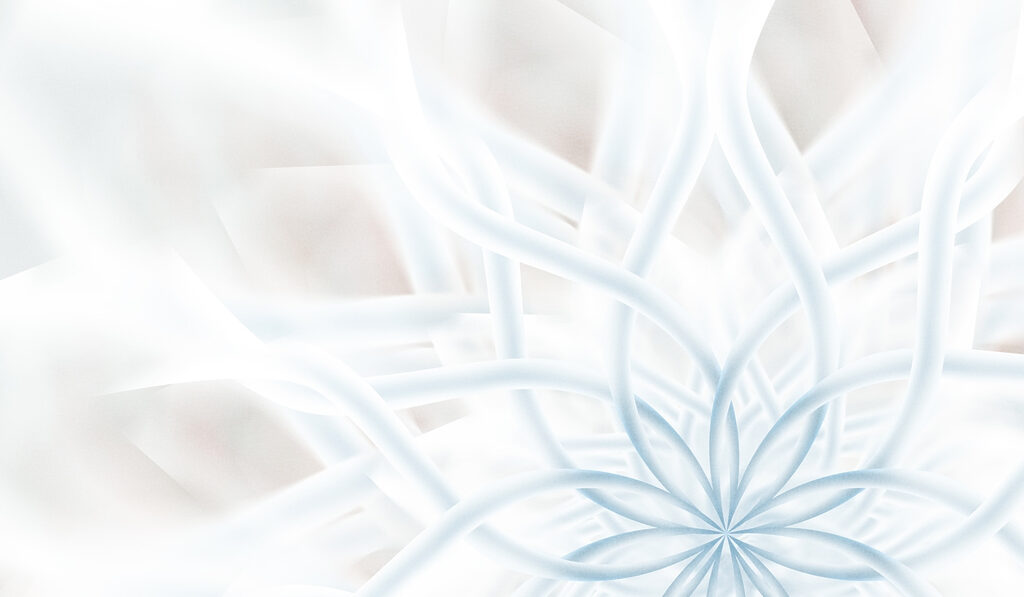 Fiore bianco e blu Fiore bianco e blu