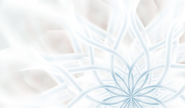 Fiore bianco e blu Fiore bianco e blu