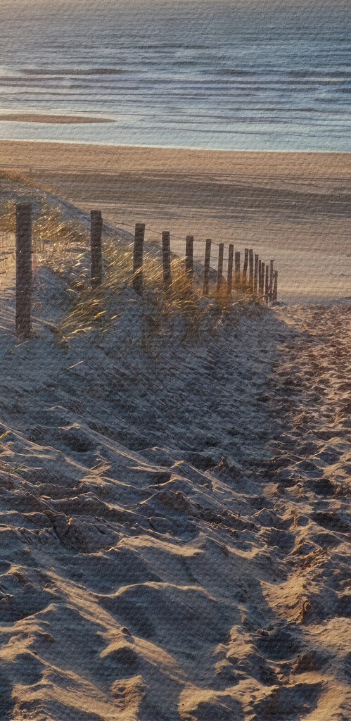Path to the beach