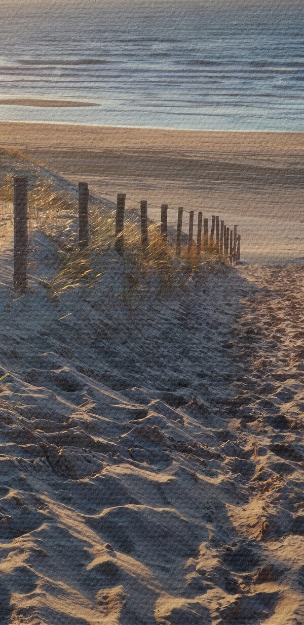 Path to the beach