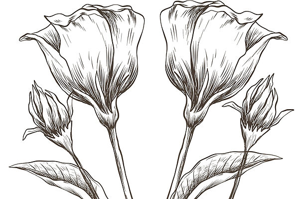Disegno di fiori su sfondo bianco Disegno di fiori su sfondo bianco