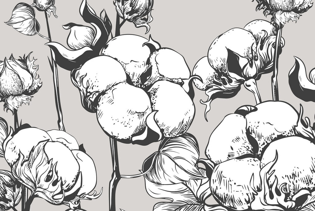 - Delicate cotton blooms in monochrome - Delicate cotton blooms in monochrome