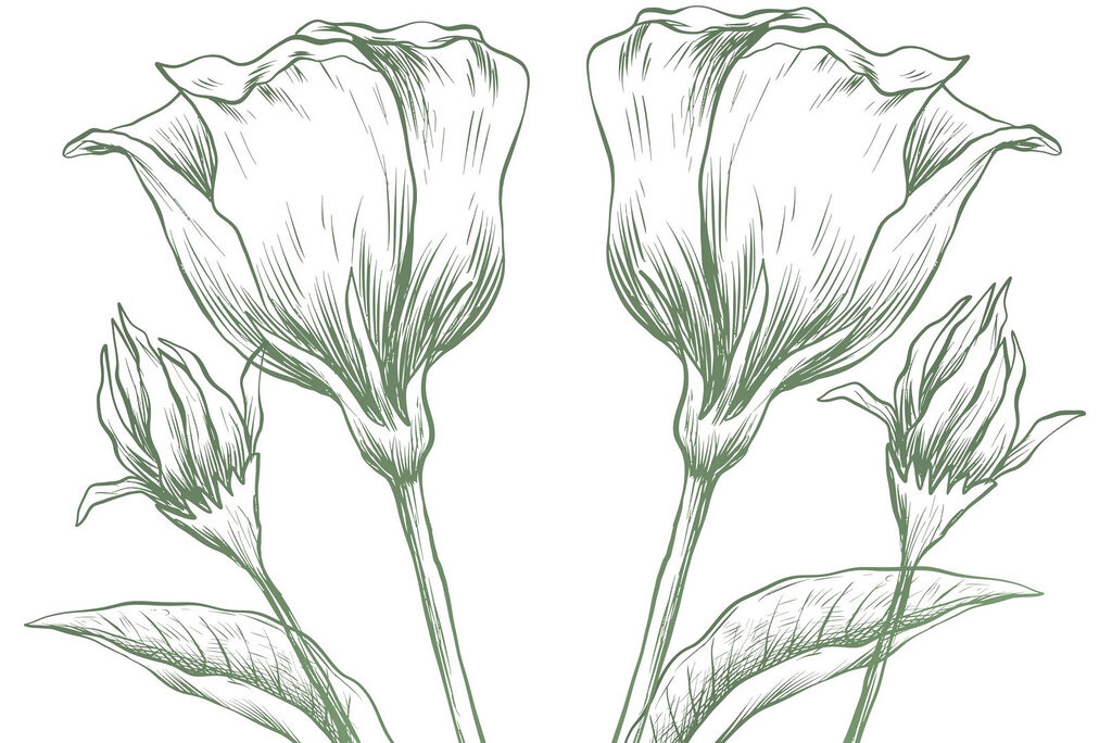 Disegno di fiori e foglie Disegno di fiori e foglie