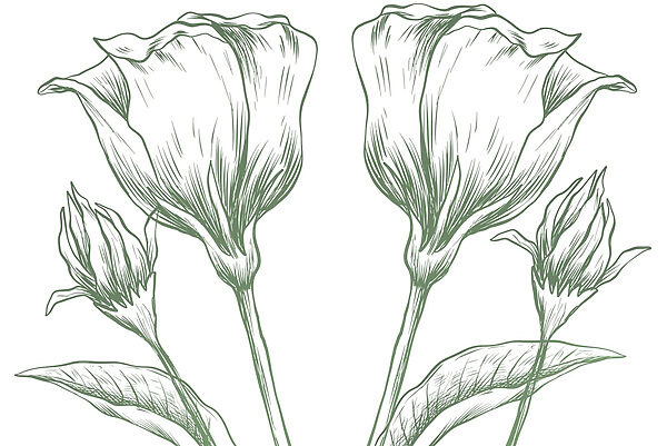 Disegno di fiori e foglie Disegno di fiori e foglie
