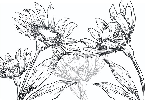 Disegno di fiori con foglie Disegno di fiori con foglie