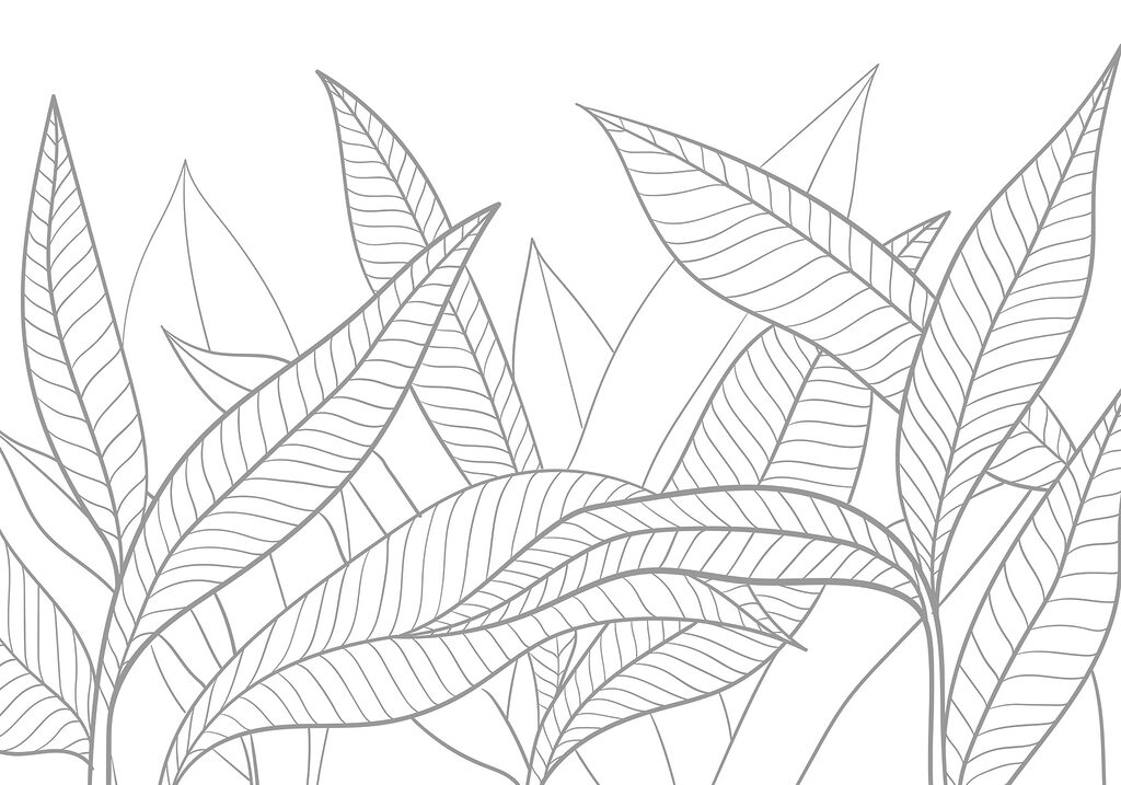 Disegno lineare di foglie Disegno lineare di foglie