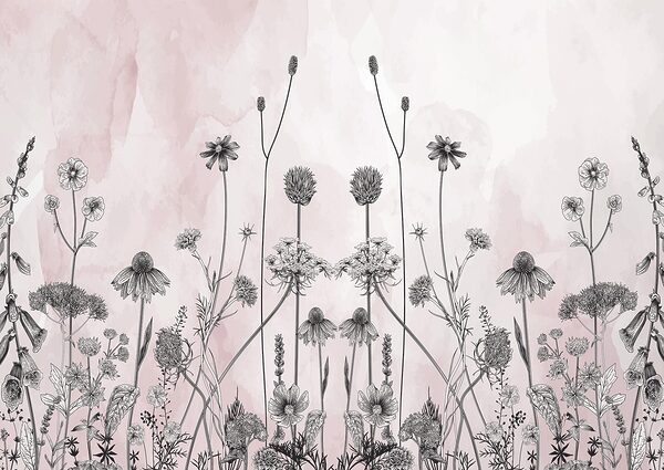 Disegno di fiori e piante Disegno di fiori e piante