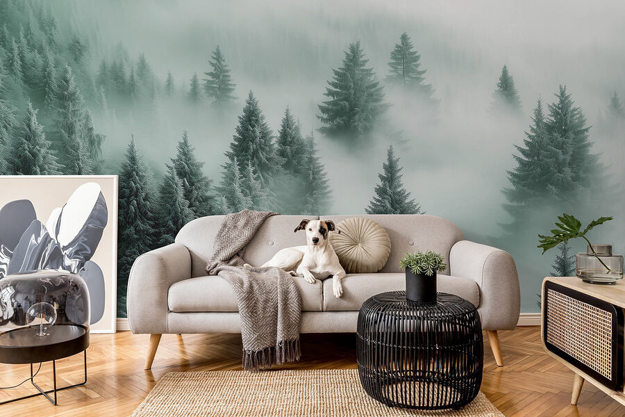 Gruppo di alberi nella nebbia