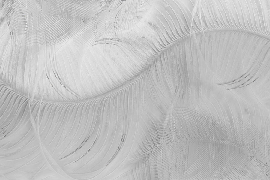 Disegno di piume bianche su una superficie bianca
