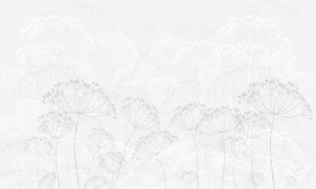 Motivo floreale bianco Motivo floreale bianco