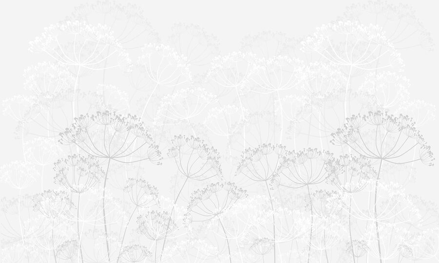 Carta da parati Motivo floreale bianco - immagine 3