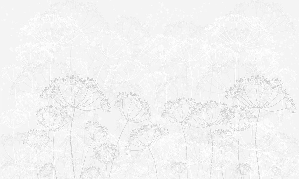 Sfondo bianco con fiori Sfondo bianco con fiori