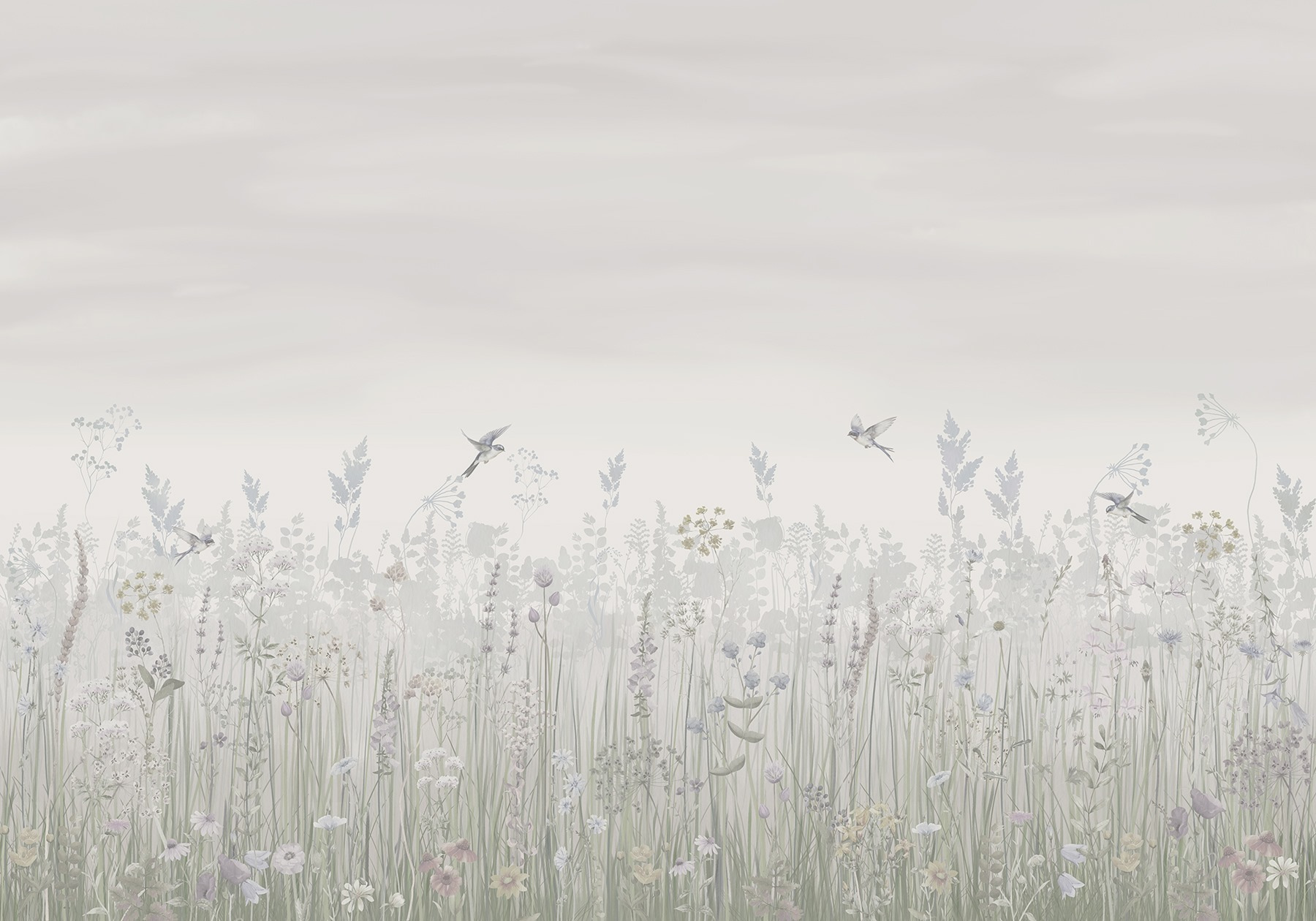 Field of flowers and birds