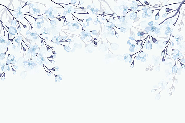 Fiori bianchi e blu su sfondo bianco Fiori bianchi e blu su sfondo bianco