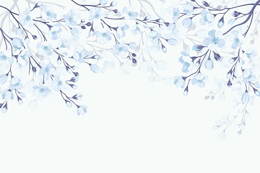 Fiori bianchi e blu su sfondo bianco Fiori bianchi e blu su sfondo bianco