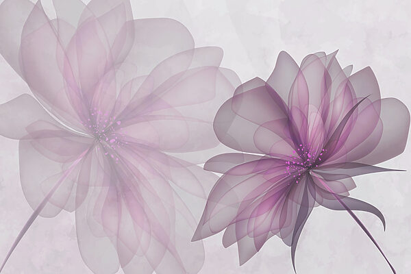 Coppia di fiori viola Coppia di fiori viola