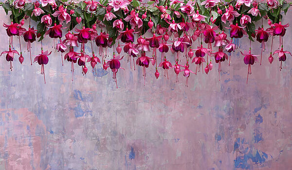 Gruppo di fiori rosa Gruppo di fiori rosa
