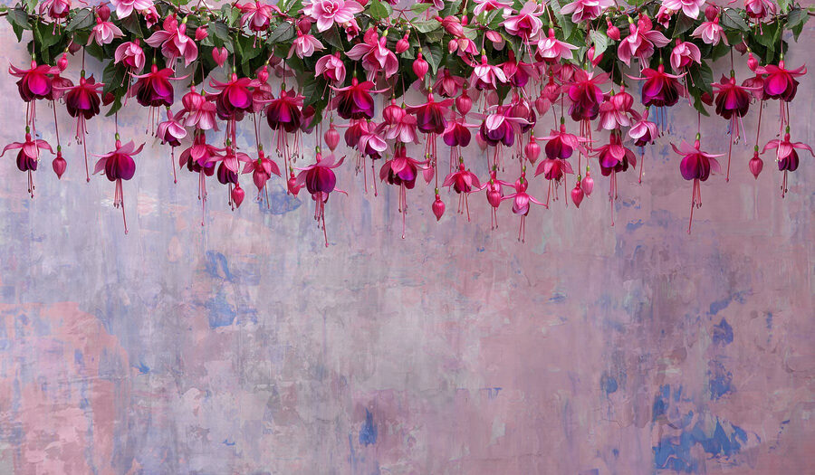 Gruppo di fiori rosa Gruppo di fiori rosa