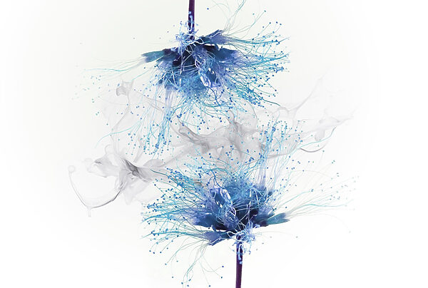 Fiori blu con inchiostro bianco nell'aria Fiori blu con inchiostro bianco nell'aria