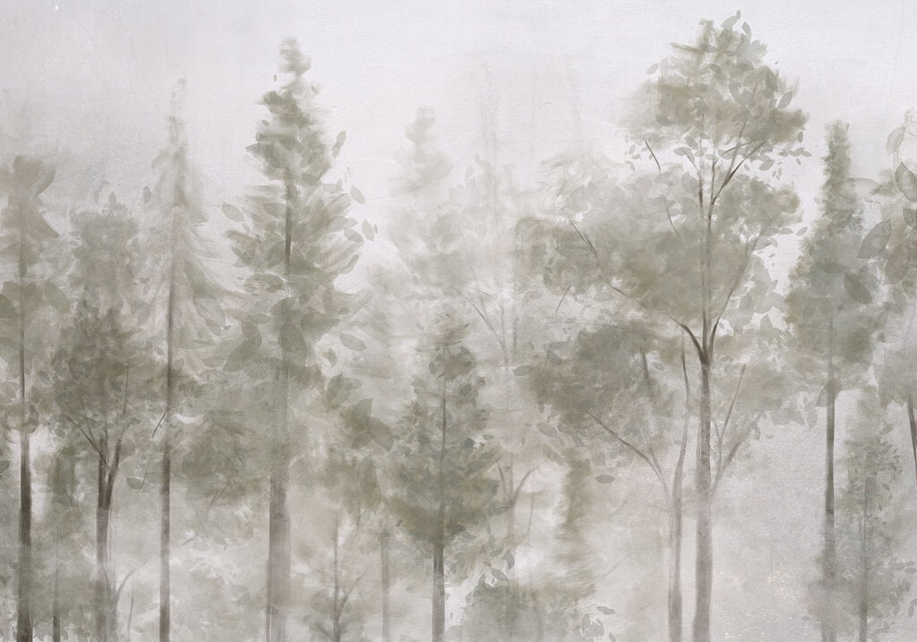 Gruppo di alberi nella nebbia Gruppo di alberi nella nebbia